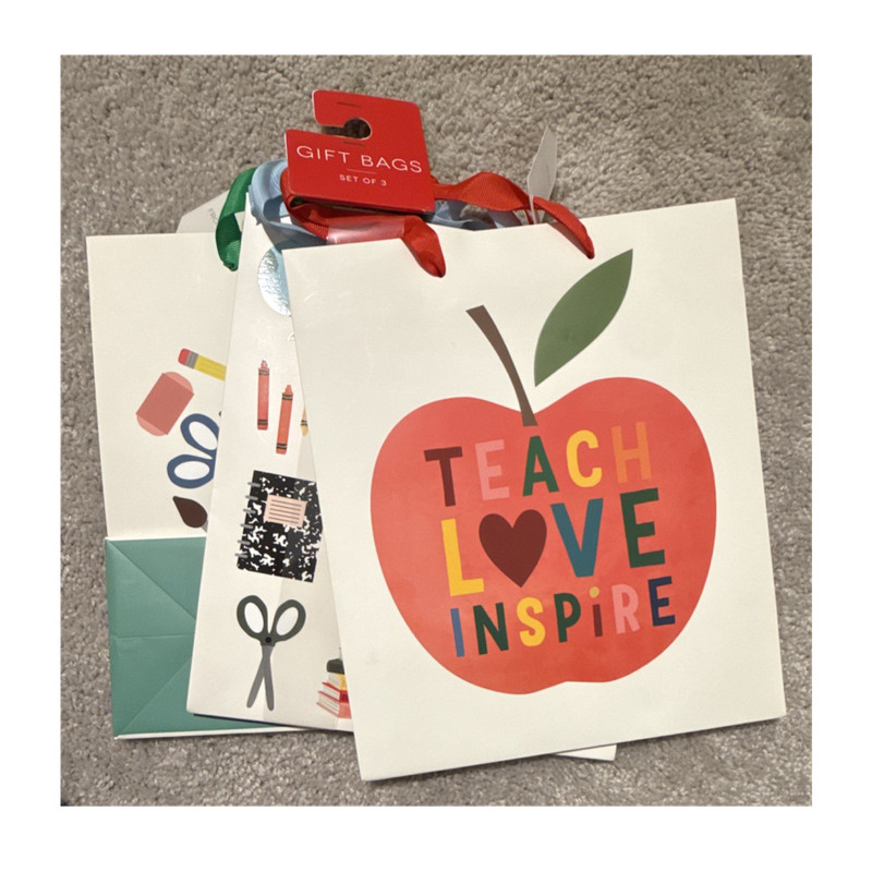Gift Bag Set of 3 Teacher Theme Paper Bags, White/Multicolor, School Prints