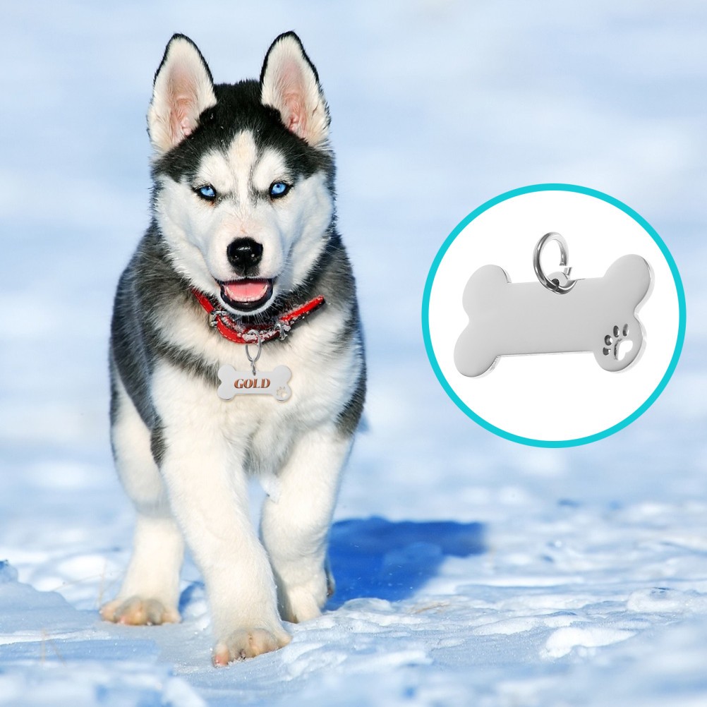 Set di 4 targhette per cani Slide On