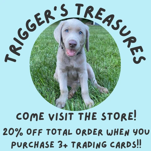 Morpeko V-Union Pokemon TCG Sword & Shield Promo Cards SWSH216 LP - Image 3 of 3