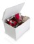 the hadley storage chest white- open box item