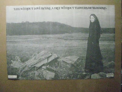 Vintage life without love is like a tree without flower poster reflections 13177