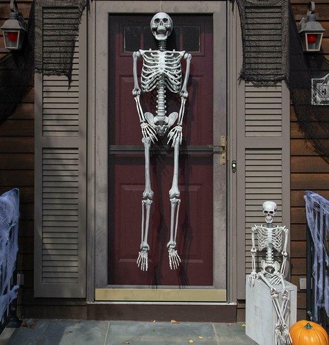 5.6ft/170cm Halloween Poseable Human Skeleton Full Life Size Bones Party Decor - Picture 7 of 8