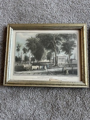Vintage Borghese Framed Ivy League Prints   Yale & Amherst