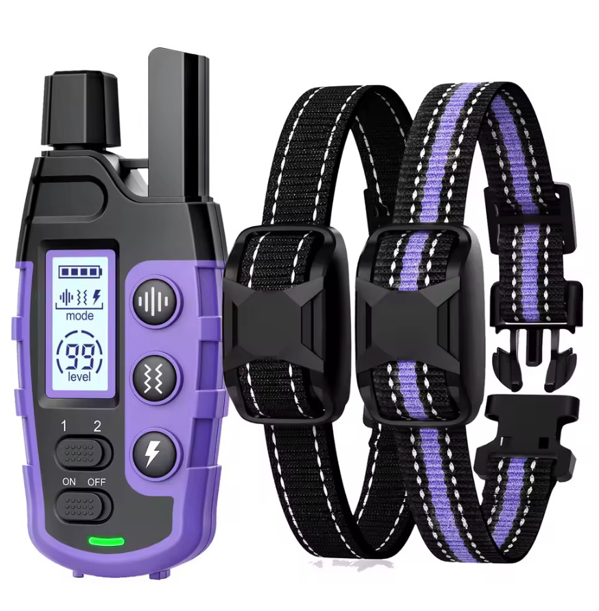 Collier dressage chien violet grande portée pour balades sereines sous la pluie