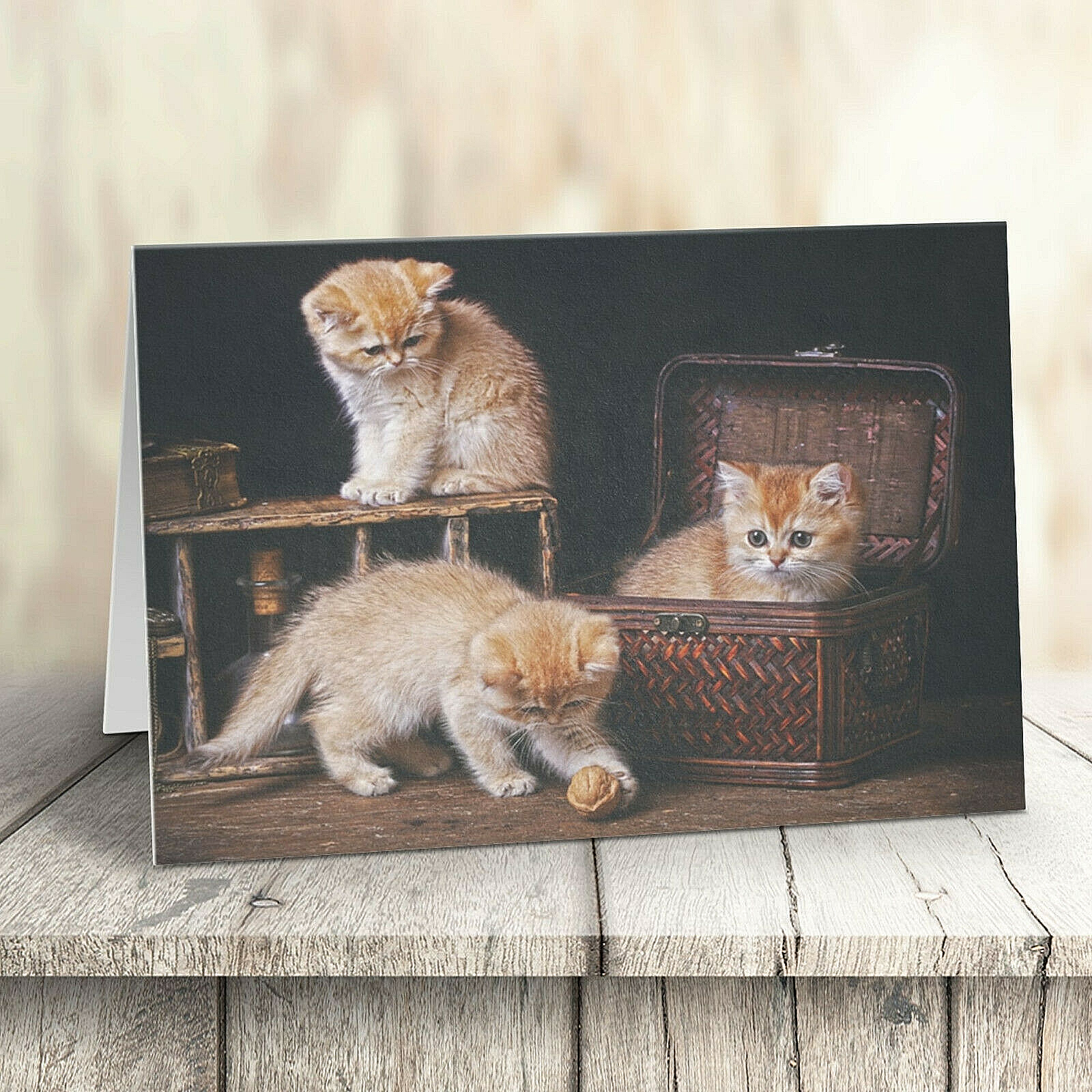 Playtime Cat and Kittens Greeting Card Blank Greetings Cards Birthday Cat Lovers
