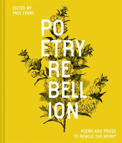 Poetry Rebellion Format: Hardback 9781849946384| eBay