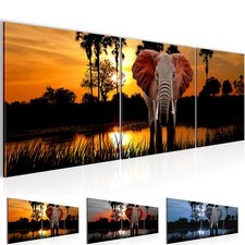Wandbilder Set Afrika Elefant Moderne Bilder XXL Wohnzimmer  Savanne