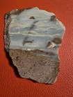 BRITISH COLUMBIA OCEAN JASPER VERY RARE ONLY 1 ON EBAY  colors are exceptional — photo 4