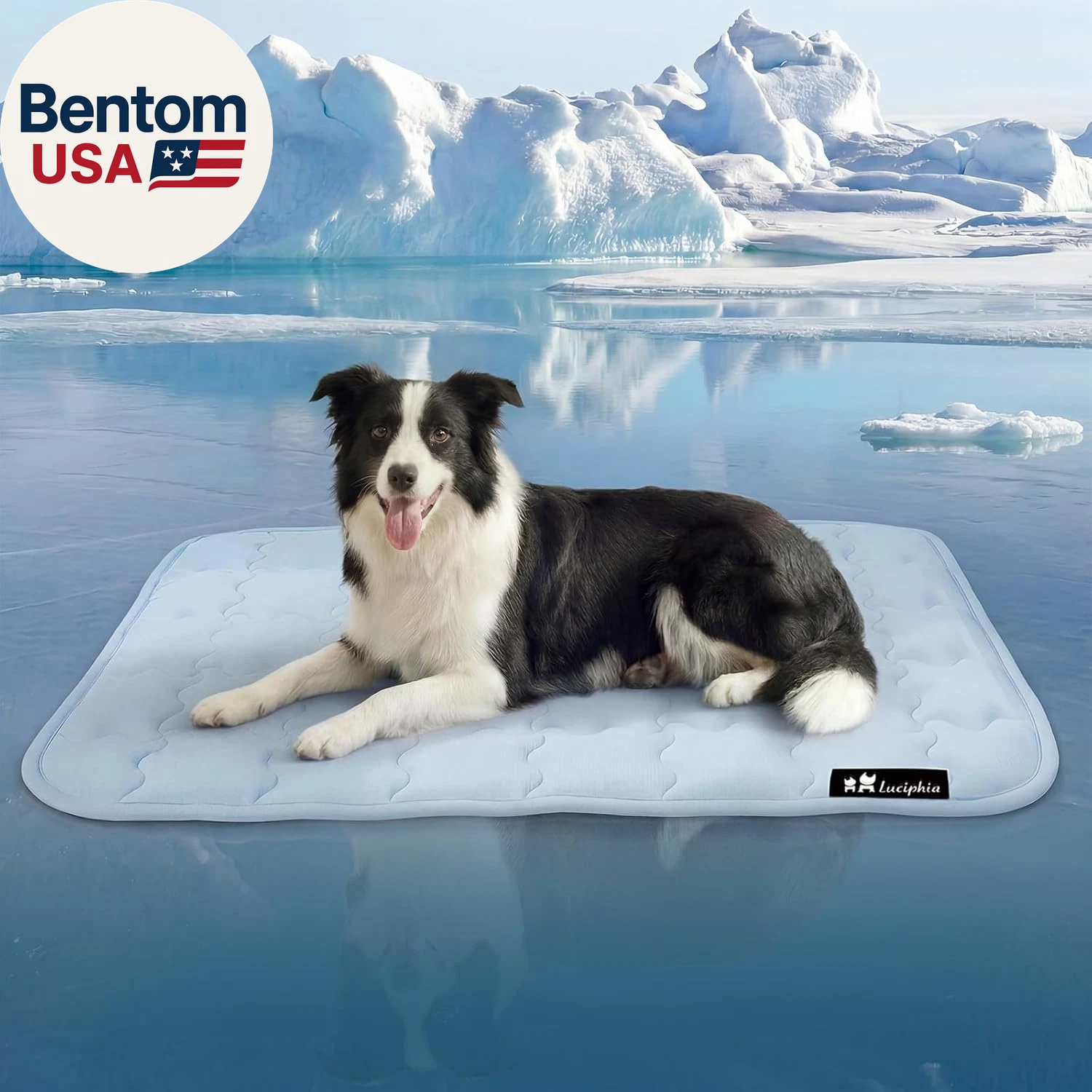 Premium Dog Cooling Mat Non-Slip Q-MAX 0.5 Self-Cooling Pad for Small Pet Cat In