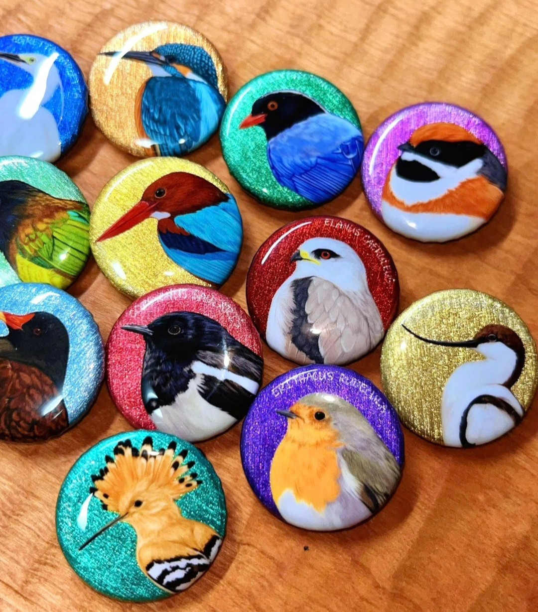 Artist Bird Illustration Sparkle Button Badges, 6-Pin Set, Birdwatcher Gift