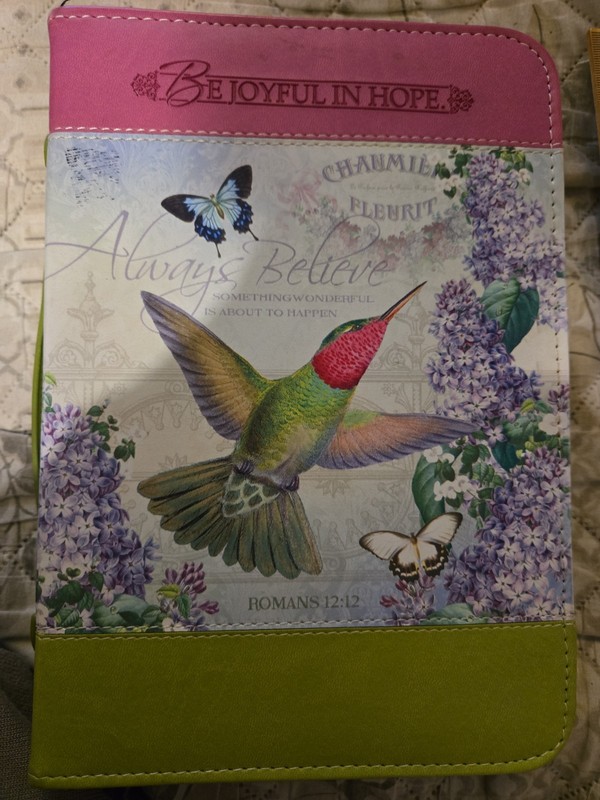 Cover Bible Hummingbird Large (10" L x 7 W x 2") English With Attached Bookmark