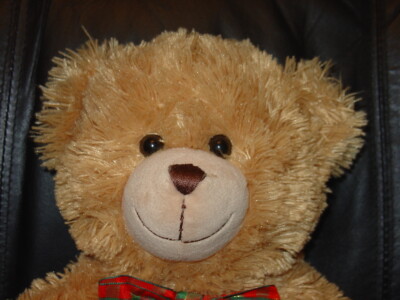Schöner Build A Bear Bärenfabrik Plüsch Teddybär BAB selten bitte lesen