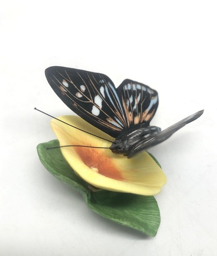 Franklin Mint Butterflies of the World Porcelain Figurine 1985 - Picture 3 of 5
