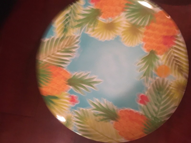 BRAND NEW TROPICAL BPA FREE MELAMINE DINNER PLATES SET OF 4