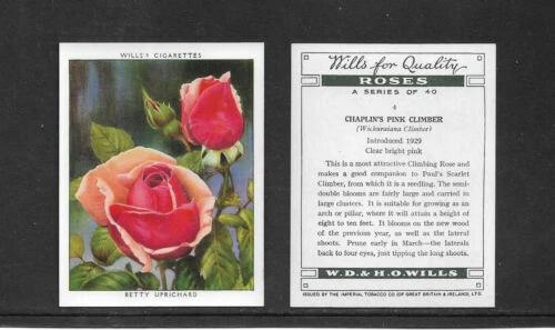 Flowers/Garden UK Issue Loose Collectable Cigarette Cards