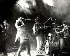 The Who 10" x 8" Photograph no 78