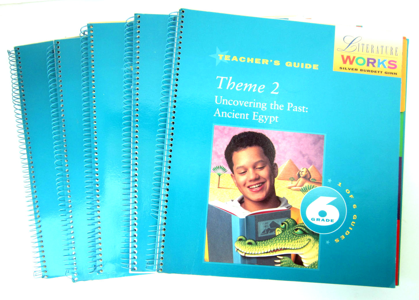 Burdett Gin LITERATURE WORKS Teacher's Guide THEME 26 Book Set Grade 6