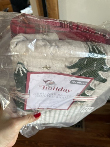 Pottery Barn Pillow SHAM Plaid Disney Holiday star Christmas gift kids sherpa , - Picture 17 of 22