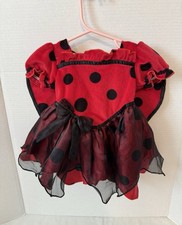 Koala Kids Costume Baby Girls 3-6M Ladybug Halloween Black Red Dress