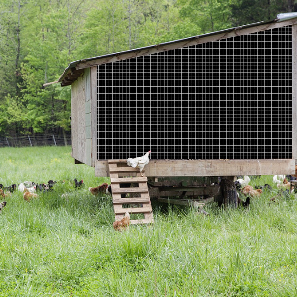 1/4 inch Hardware Cloth Welded Cage Wire Fence Mesh Roll 48in X 50ft eBay