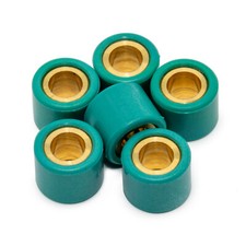 Variomatic weights Variorollen set LeoVince 6x 6,7g for Piaggio Honda