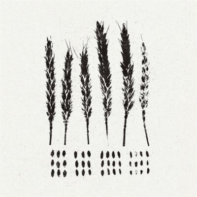 LO! - THE GLEANERS   CD NEU