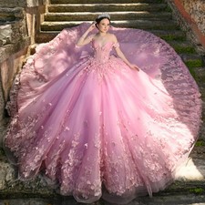 Princess Pink Quinceanera Dress Ball Gown Tulle Applique Bow Lace-up Sweet 16