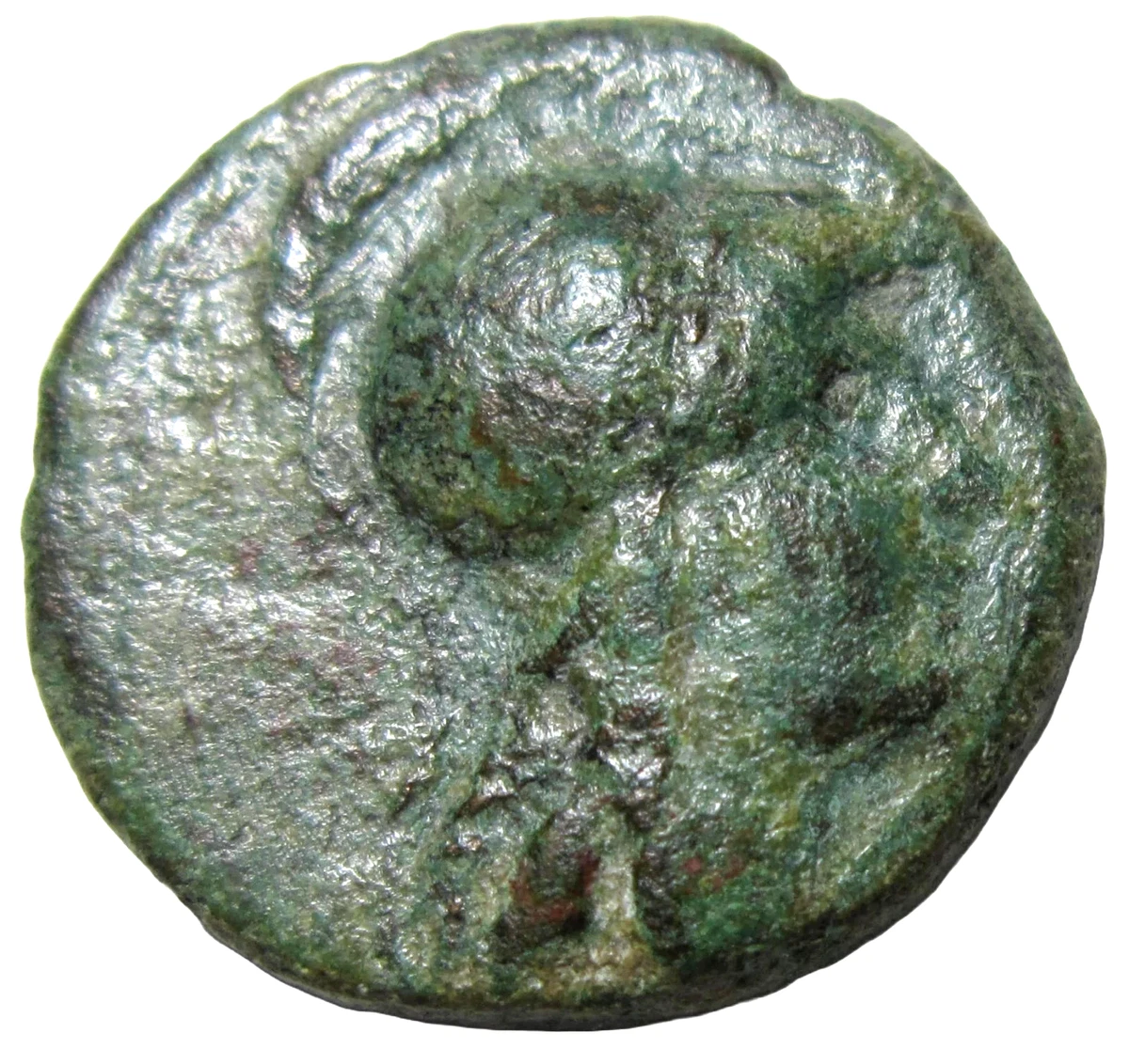 Antiochus for sale | eBay