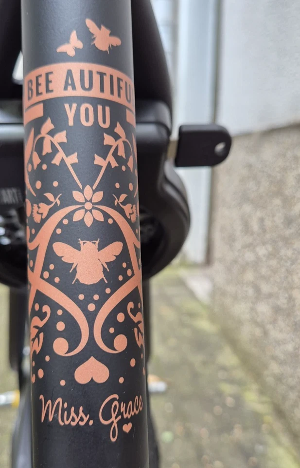 Wunderschönes Damenfahrrad Gazelle Miss Grace (R7T Black Matt), 54cm, neuwertig - Bild 3 von 4