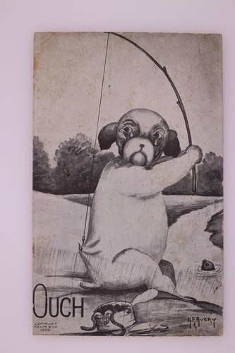 Ouch Dog Fishing Comic Postcard Kawin Chicago 1909 Divided Back - Imagen 2 de 7