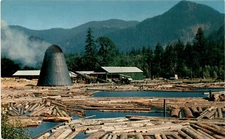 Northwest sawmill log pond L L Perkins logging industry Pacific Northwe Postcard