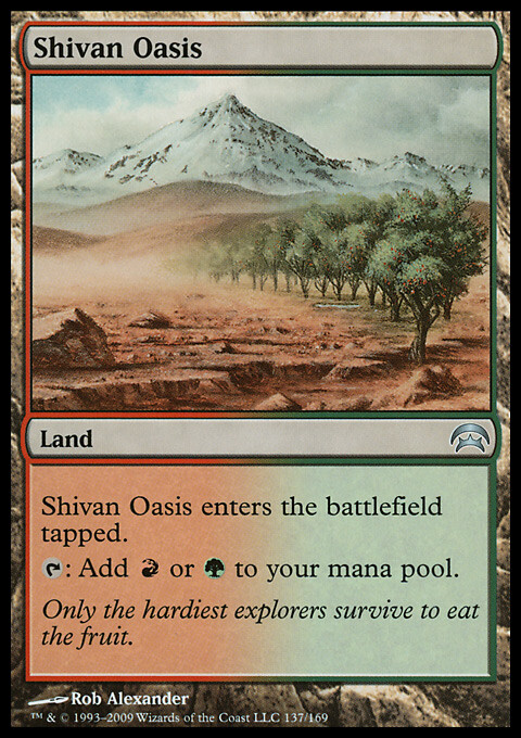 Magic the Gathering MTG Shivan Oasis (137) Planechase   LP