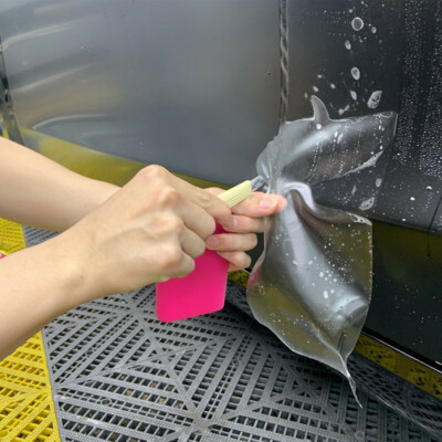 Clear Matte PPF Car Paint Protection Film TPH CAR Coating Vinyl Clear BraHOHOFLM