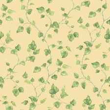 G45430 - Just Kitchens Just Ivy Yellow Green Galerie Wallpaper