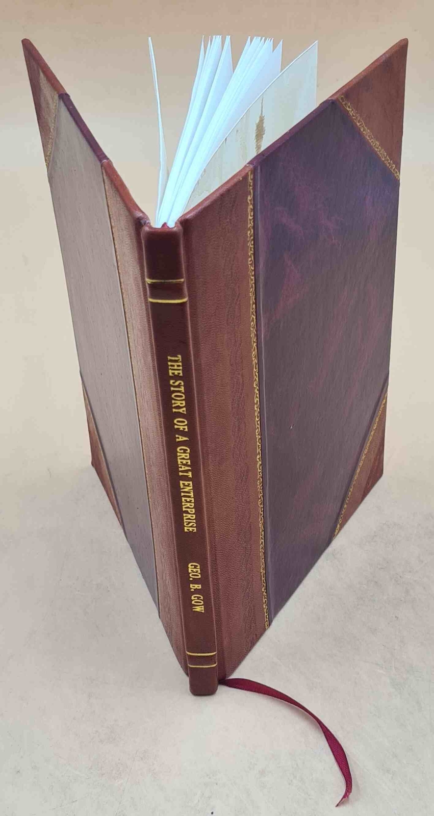 Epic Tale of Hudson River Water Power Co Leather Bound Edition  