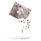 Bild 24 von 24