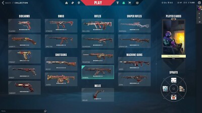 VALORANT account EU Full Tenz Loadout and many more skins Plat 2 FULL ACCESS