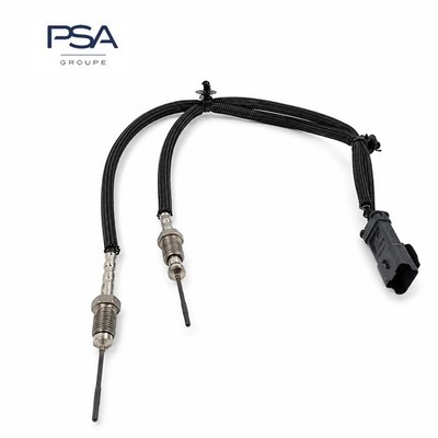 Abgastemperatursensor Sensor vorne Citroen Jumper III Peugeot Boxer 2.0 BlueHDI