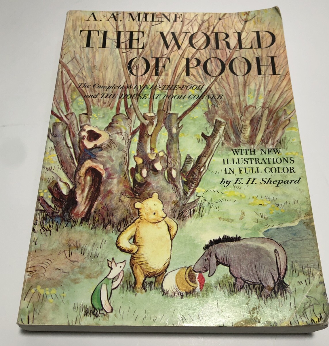 THE WORLD OF POOH by A A Milne 1957 1st contains both Pooh & Pooh