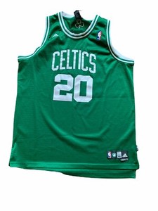 ray allen jersey number