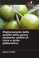 Miglioramento Della Qualità Della Guava Mediante Solfato Di Zinco E Acido...