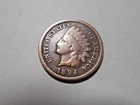1894 Indian Head Cent in G-VG condition.  Very nice coin.  But You decide!!!!!!!