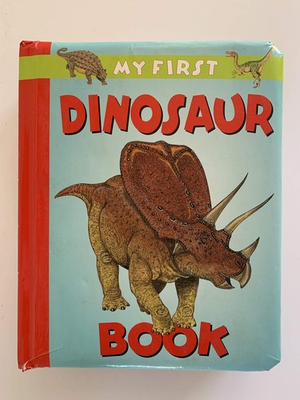 #ad #ad My First Dinosaur $448.89