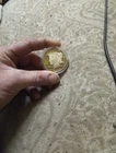 Morgan Liberty Gold Dollar
