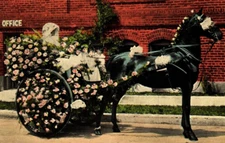 C.1910 HORSE ENGLISH DOG CART TWO WHEEL, PORTLAND ROSE FESTIVAL OR POSTCARD P22