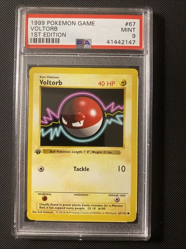 Voltorb (1st Edition) graded PSA 9 for sale on eBay