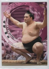 2023 BBM Sumo Ryuden Goshi #22