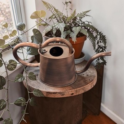 Vintage Michael Graves Design Copper Watering Can