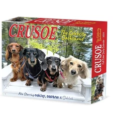 Willow Creek Press,  Crusoe the Celebrity Dachshund 2026 Desk Calendar, 6.18'' X