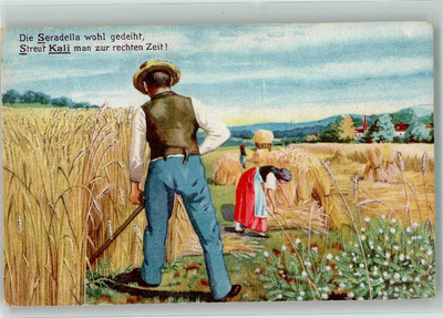 39987667 - the ABCs of the farmer Seradella well prospered, honorary harvest